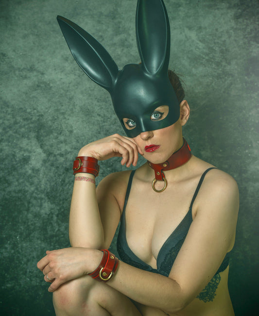 Leather Collar and Cuffs